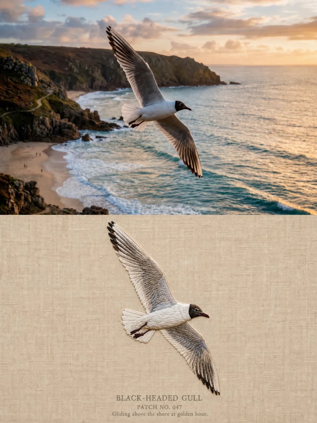 A gull over a Cornish cove — every primary feather gets its own run of long-and-short stitch
