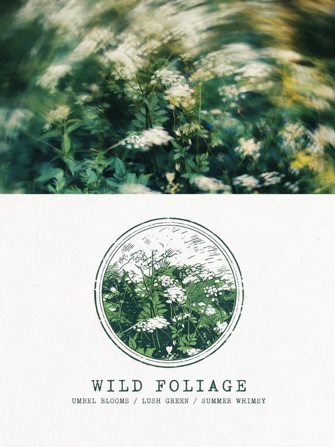 The motion-blurred wild umbellifers stay as shot; the circle reduces them to white flower heads and leaves in a single deep-green ink with hatched sky.