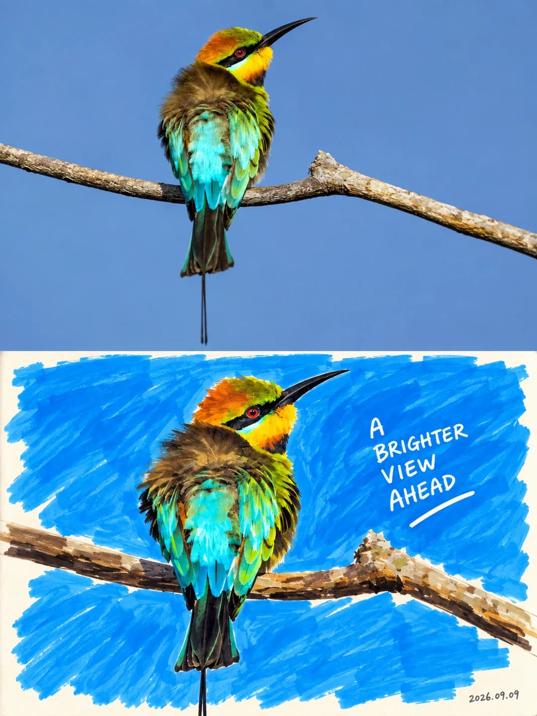 A bee-eater on a branch — every feather group is one confident stroke