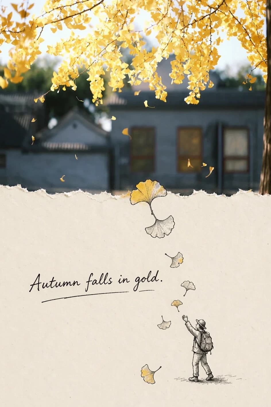 The ginkgo canopy and the grey courtyard house stay photographic above a ragged torn edge; single yellow-washed leaves drift down the paper to an outstretched hand.