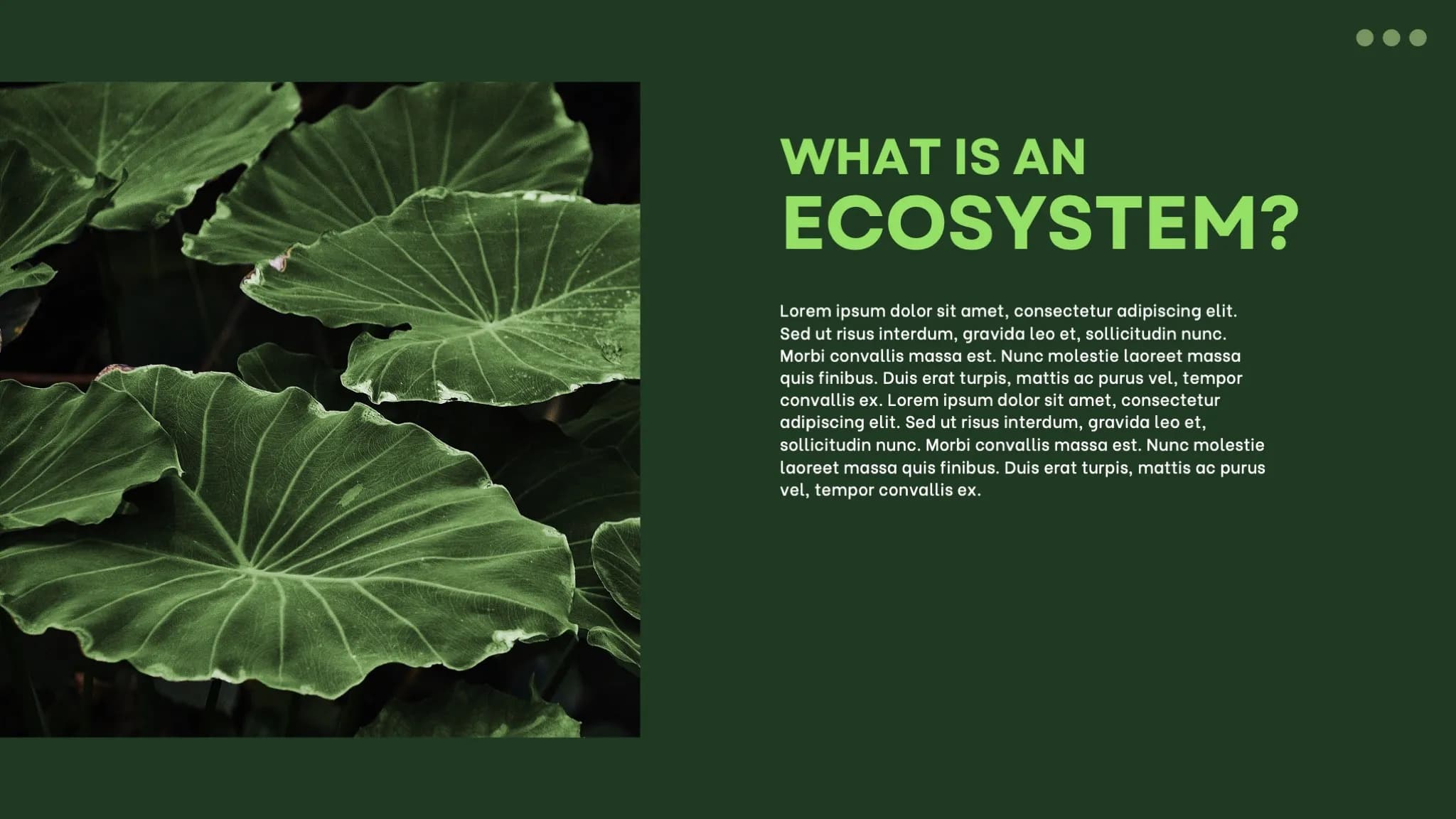 Dark Green and White Minimalist Nature Ecosystem Presentation - Page 2