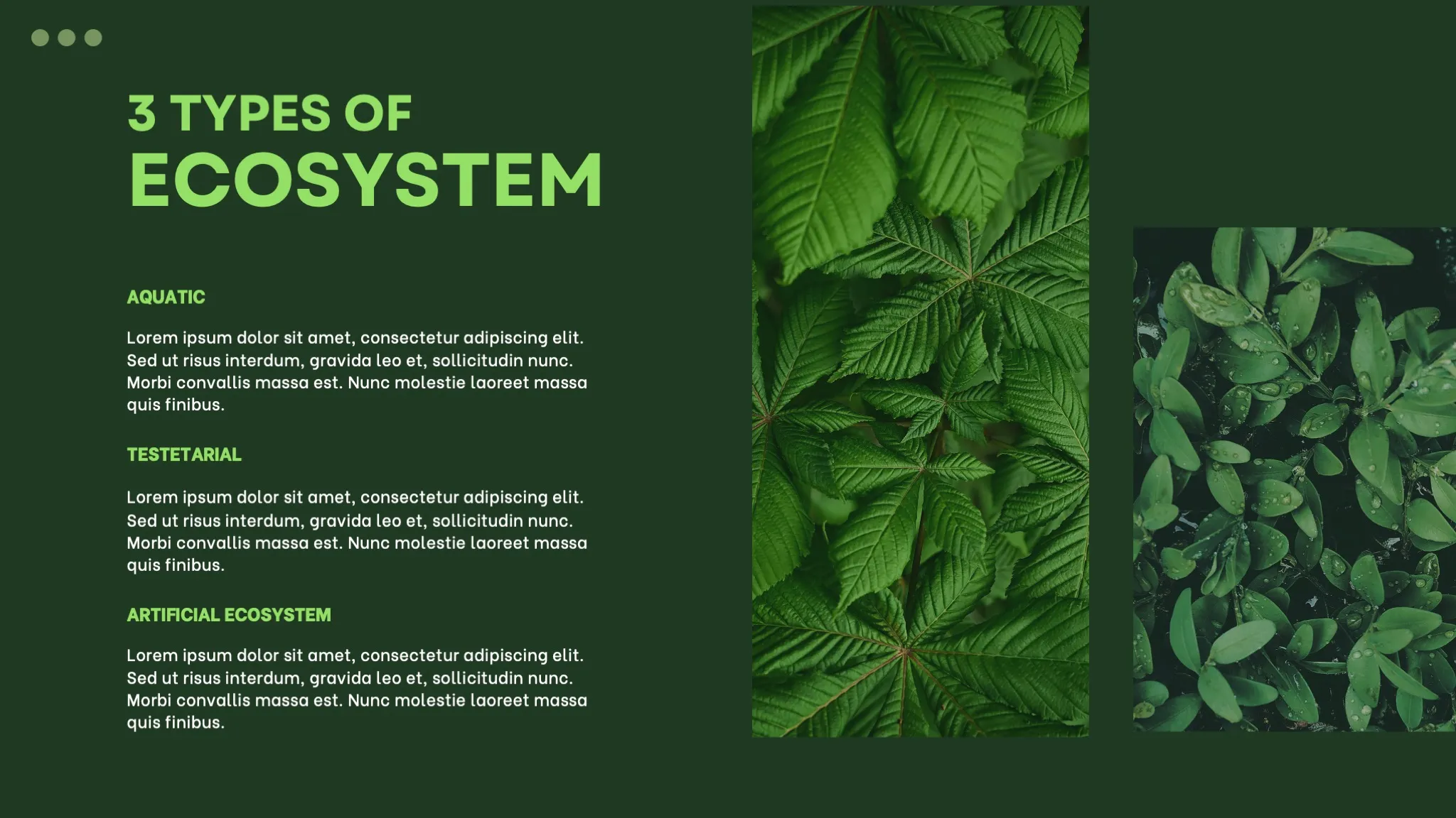 Dark Green and White Minimalist Nature Ecosystem Presentation - Page 3