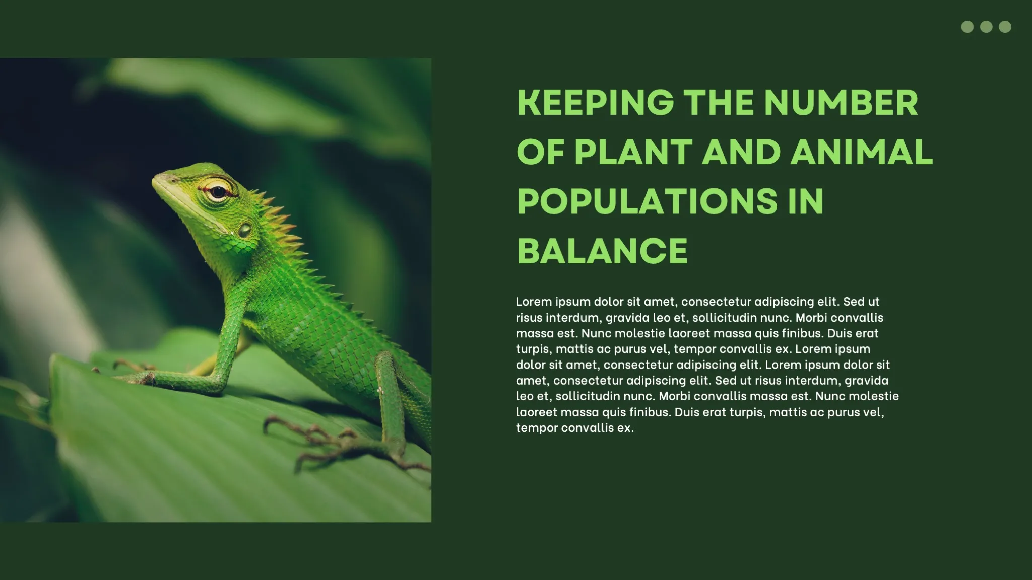 Dark Green and White Minimalist Nature Ecosystem Presentation - Page 5