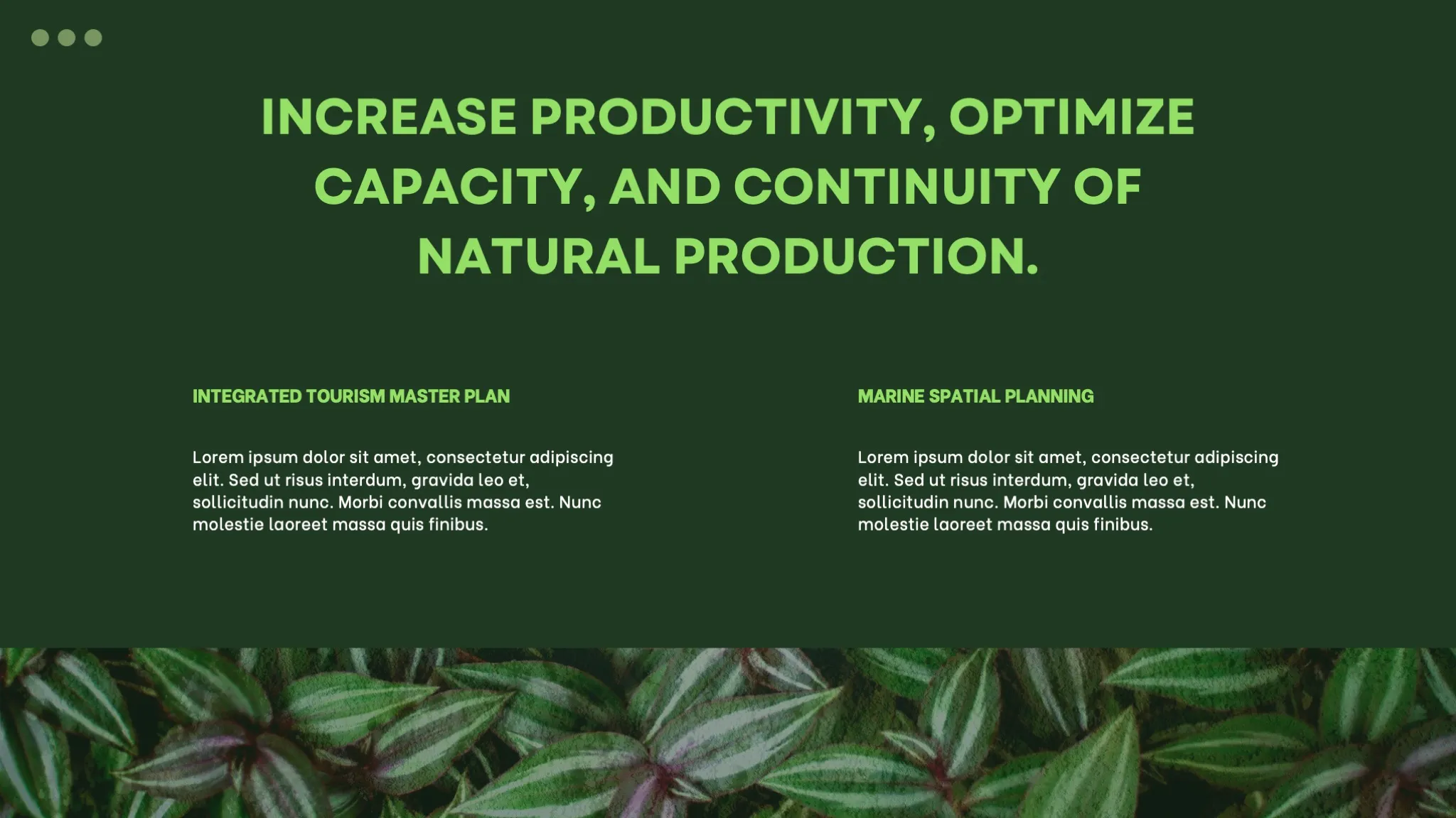 Dark Green and White Minimalist Nature Ecosystem Presentation - Page 6