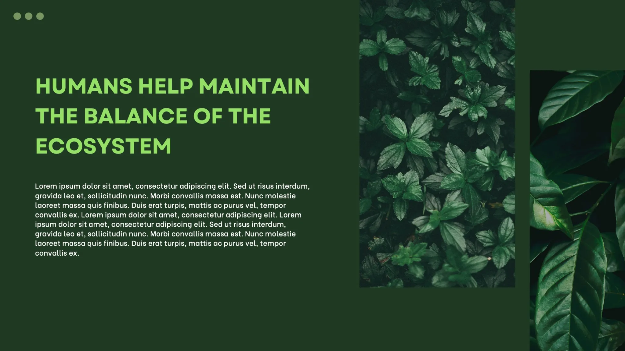 Dark Green and White Minimalist Nature Ecosystem Presentation - Page 7