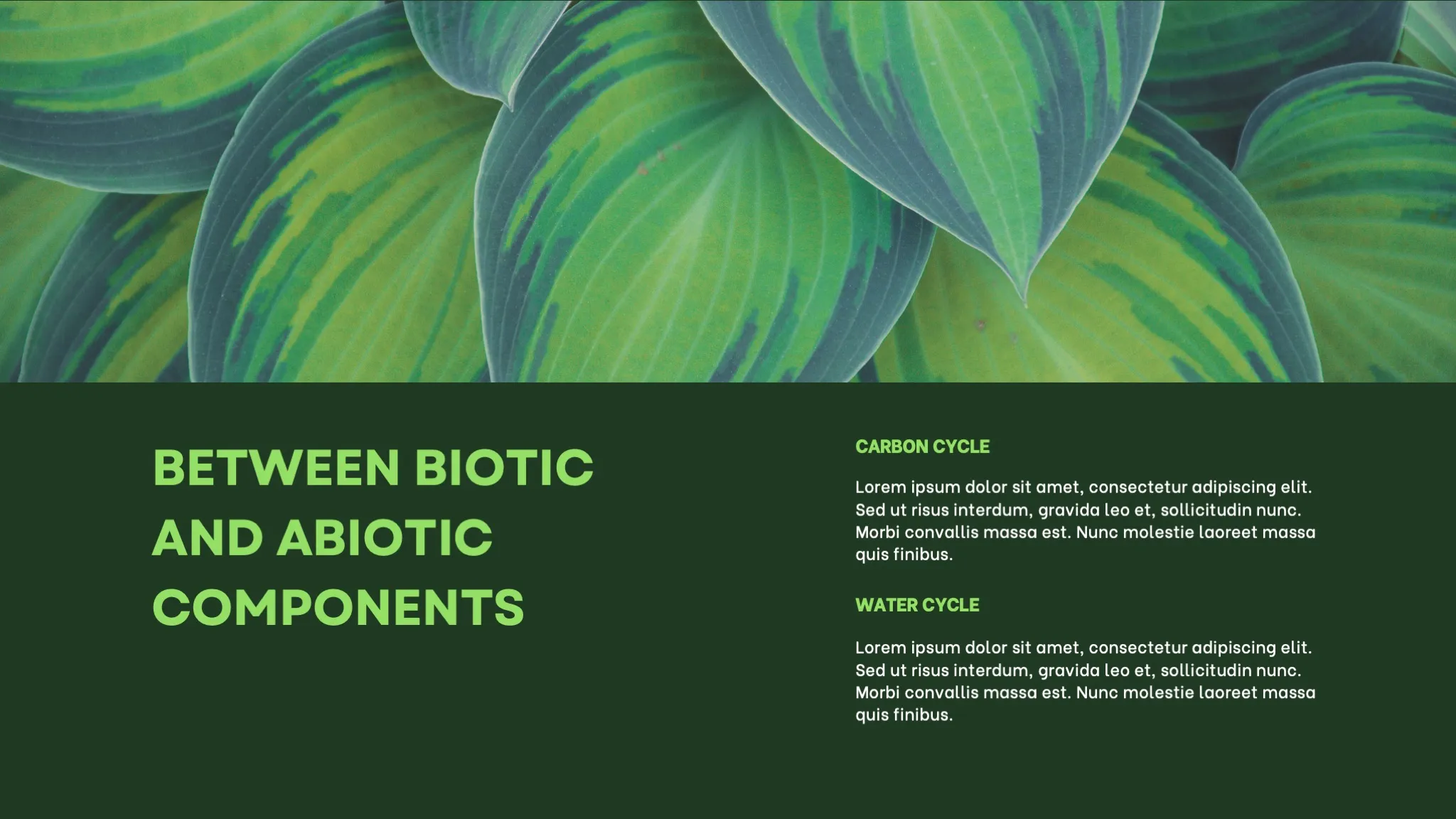 Dark Green and White Minimalist Nature Ecosystem Presentation - Page 8