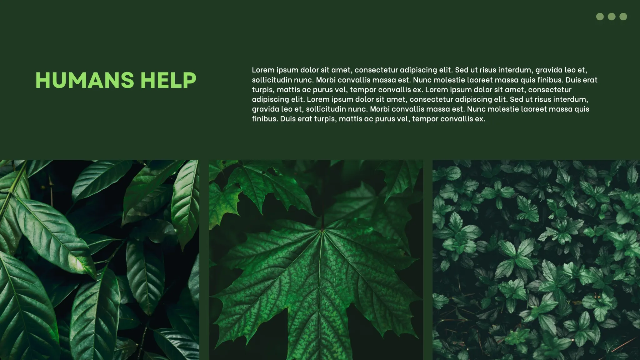 Dark Green and White Minimalist Nature Ecosystem Presentation - Page 9