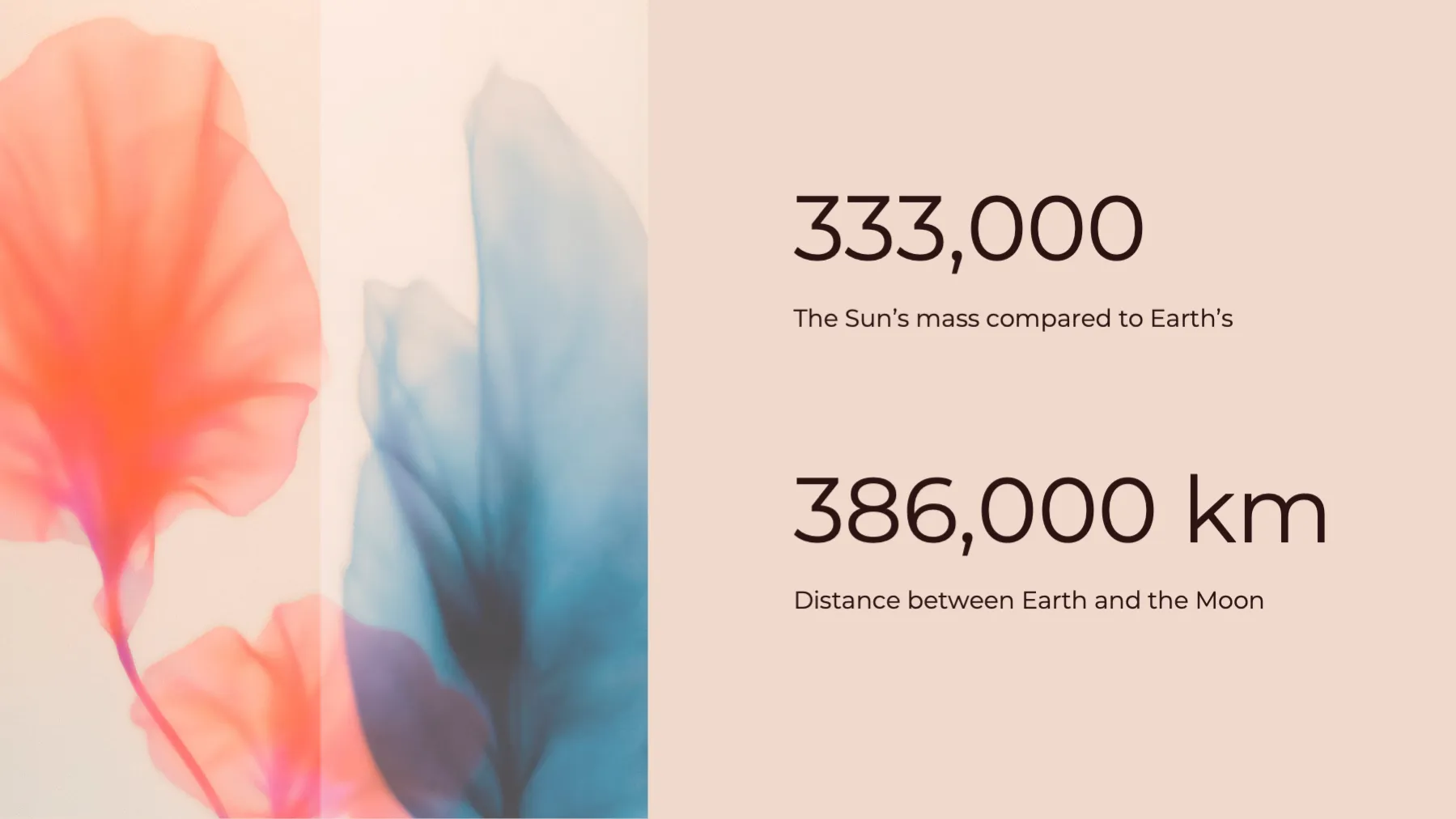 Diffused Floral Series PPT template - Page 10