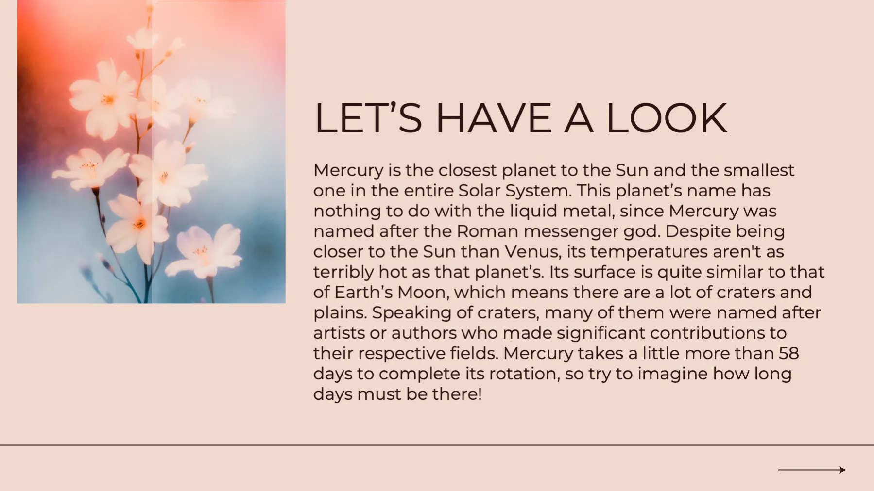 Diffused Floral Series PPT template - Page 3