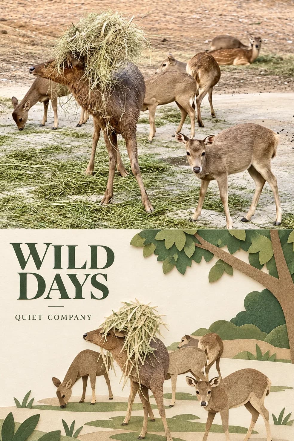 The hay pile on the deer's back and every animal's pose survive, cut as tan card on a strip of green paper.