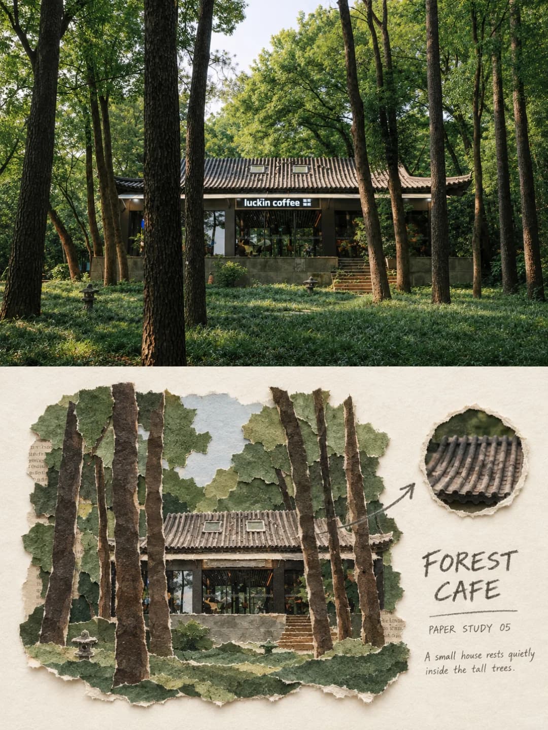 A tiled roof among pine trunks — old printed stock shows through where the canopy thins